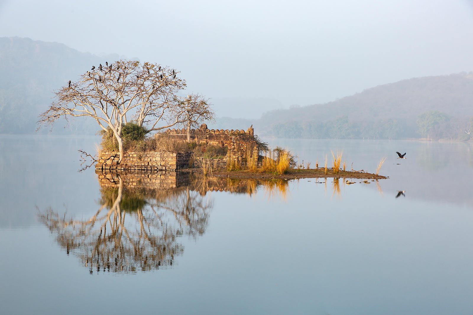 Reflection of a Ruin in Padam Talao (Lake)