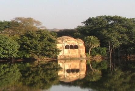 Luxury Farm Land Investment