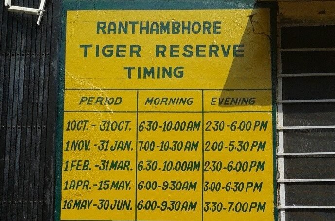Safari Timings