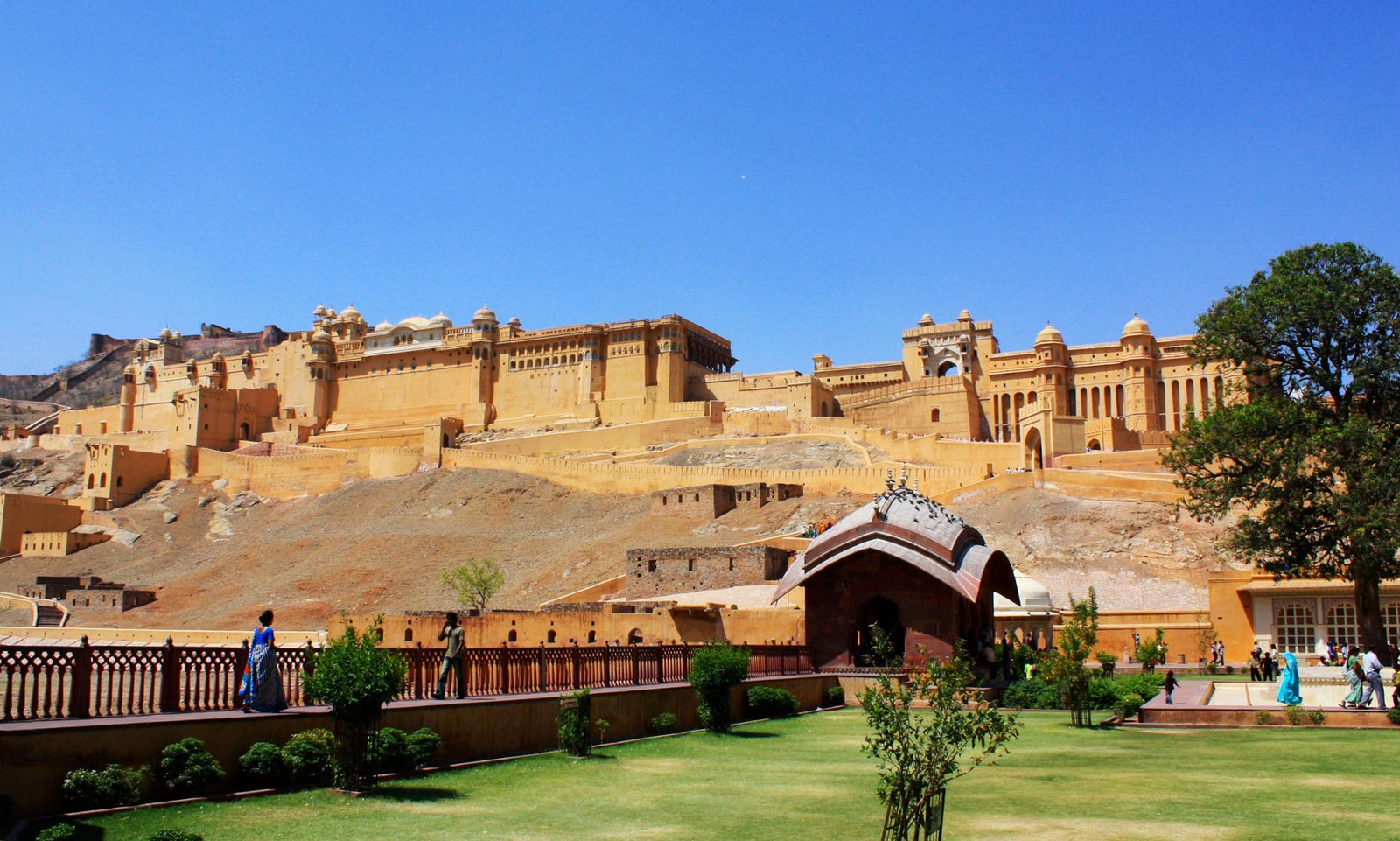 Luxury Farms in Rajasthan